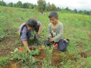 Kids planting a pine tree