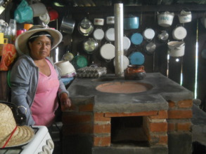 Woman by her brand new fuel-efficient stove