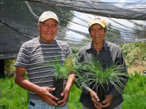 Two men in nursery holding seedlings