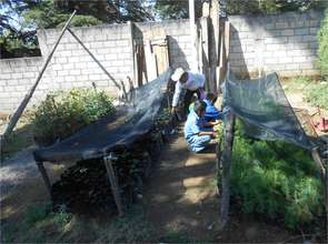 Children in N.Romero tend their tree nursery