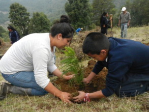 Mother and her son planting a pine