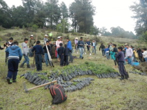 Three communities were involved in tree-planting!