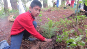 Child from ejido El Capulin plants a tree