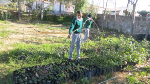 Boy watering the seedlings with a hose at D. Ojeda