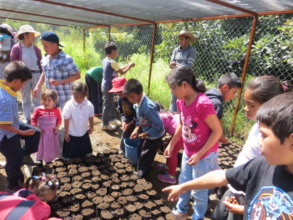 Tree Nursery at a School in El Santisimo