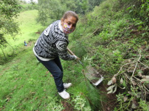 Woman from N. Romero community planting a tree