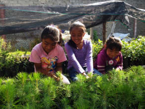 Girls looking after their growing trees