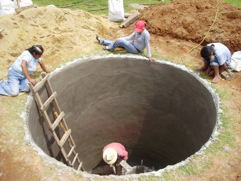 Community Conservation of Monarch Forest in Mexico