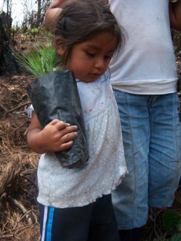 Community Conservation of Monarch Forest in Mexico