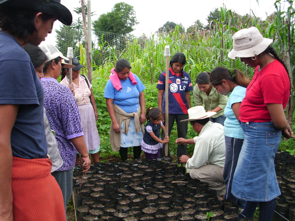Women and children setting up a tree nursery