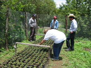 Community tree nursery