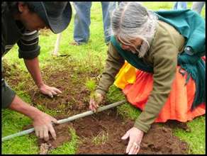 Indigenous Woman Reforesting