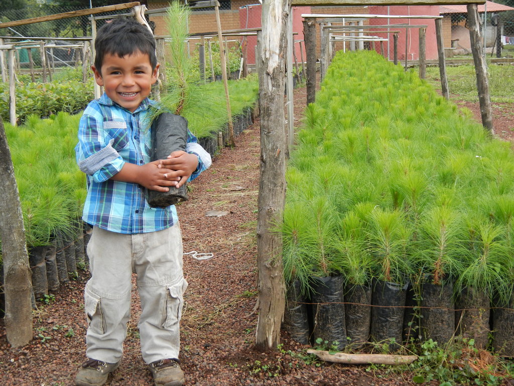 Community Conservation of Monarch Forest in Mexico