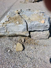Raw material for Lucy Skaer's exhibition at YU
