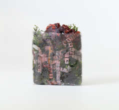 "March 31, 2014", Yuji Agematsu