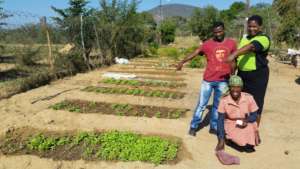 Seed beds almost ready for transplanting