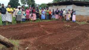 Community Gardens in Venda