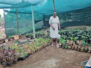 Constance and her Seedling Nursery