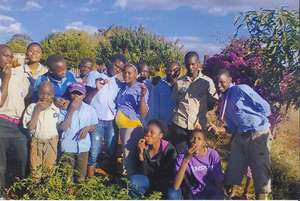 Scouts enjoy the fruit of their labour