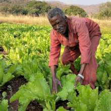 A Grandfather and his garden after KTD196 Training