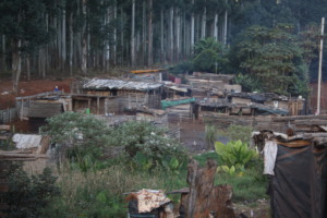 A shanty town where our scouts cleaned the roads
