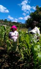 Inspection of the gardens