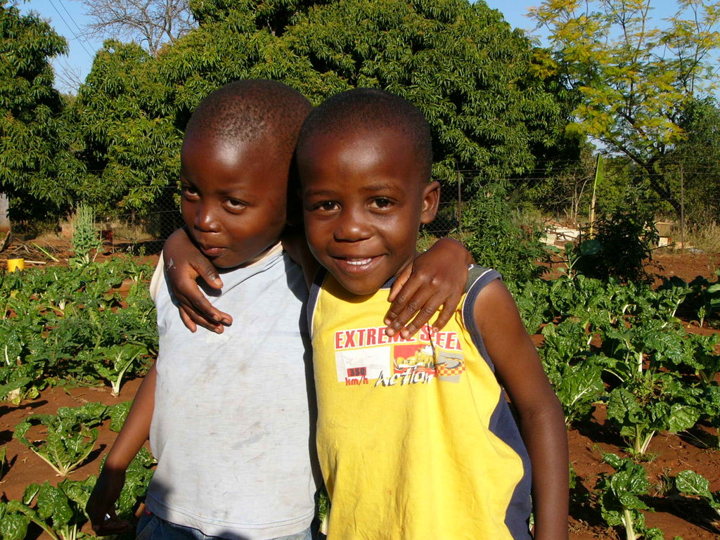 Sustainable Food Gardens for all ages