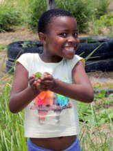 The excitement of growing your own food