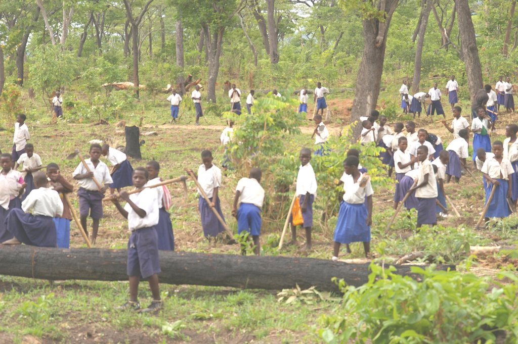 Protect children to build strong community