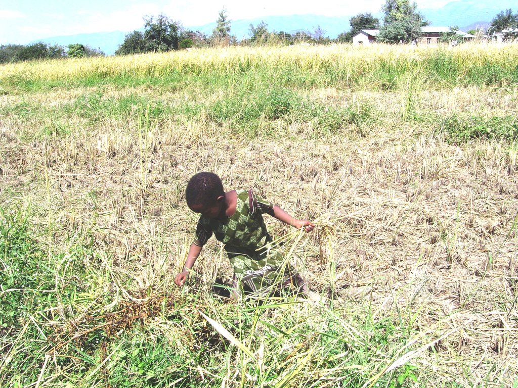 Protect children to build strong community