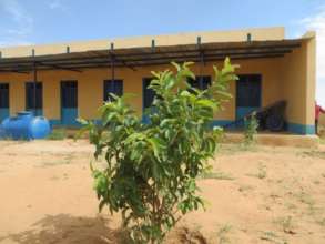 A veranda can be another classroom and shade