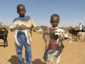 Our Goat Loans help children flourish