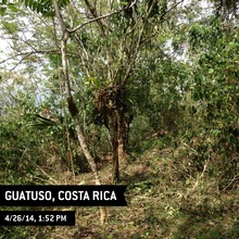 Illegally cleared forest in Guatuso, Costa Rica