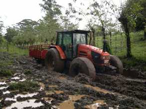 Tractor hauling to planting site, he got stuck!