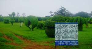 Central park in Katira with carved shrubs