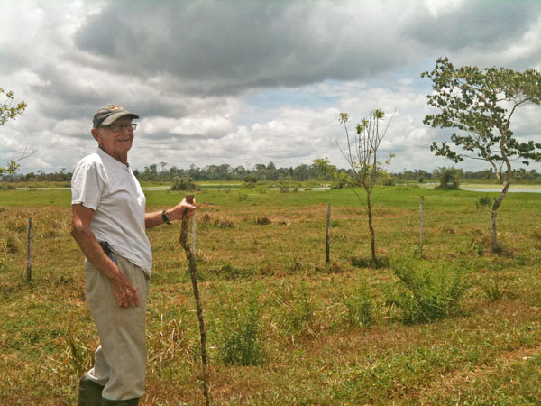 Alvaro Jenkins, Reforesting the Deforestation