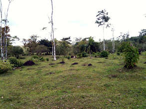 Gomez land