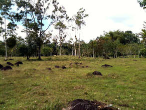 Arias family farm