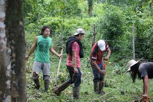Planting at Ebert Fonseca's, Maleku Reserve