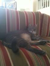 Ricky happily "chilling" at his new home.