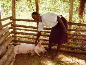 Pig that empower