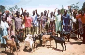 Gifts to empower 100 families out of poverty