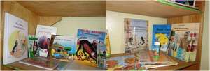 High interest, low vocabulary books from BDL