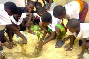Yaakaar children planting an avocado tree