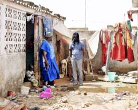 Discussing the action plan with a marabout