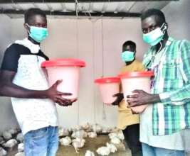 Apprentices in the poultry farming program