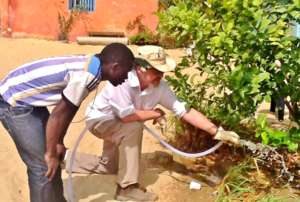 Robin working with Mamadou in MDG's garden