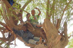 Some talibe spectators find a great viewpoint