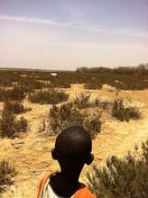 Young talibe fascinated by his first African oryx