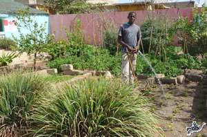 Ablaye is a faithful garden helper